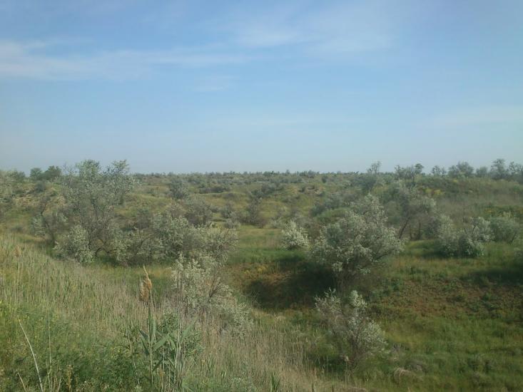 Орджонікідзе з panoramio.com - Орджоникидзе