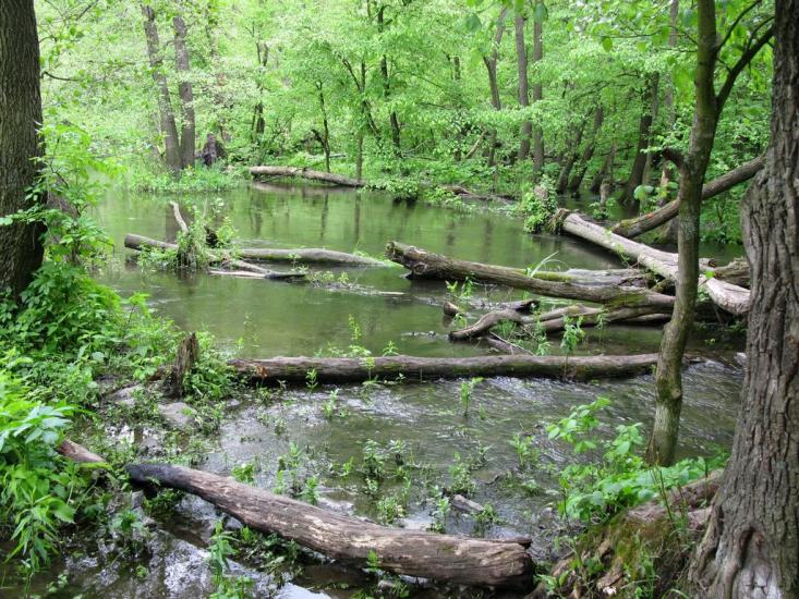 Есхар з panoramio.com - Эсхар