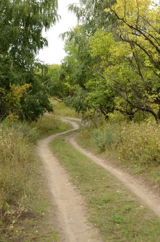 Лісники з panoramio.com - Лесники