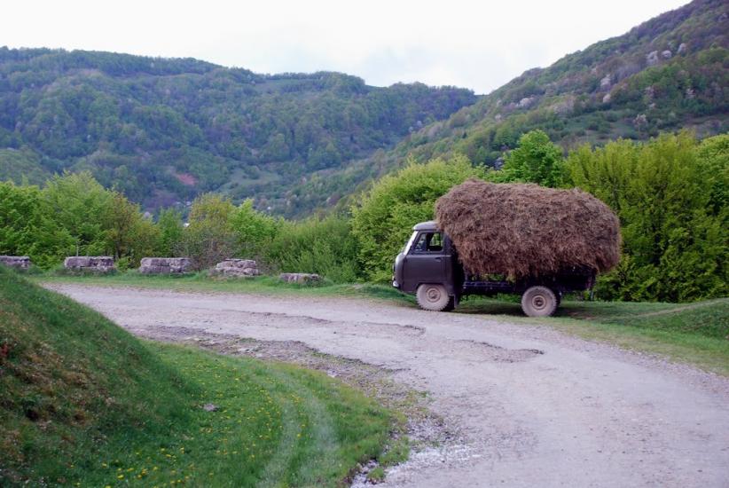 Косівська Поляна з panoramio.com - Косівська Поляна