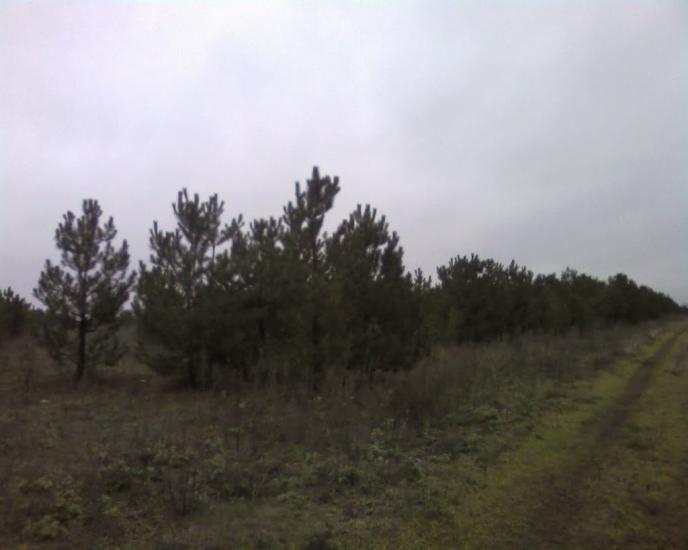 Верхні Торгаї з panoramio.com - Верхні Торгаї