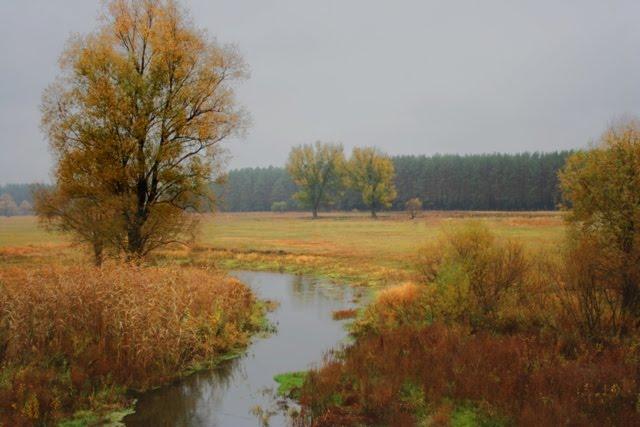 Південне з panoramio.com - Пивденное