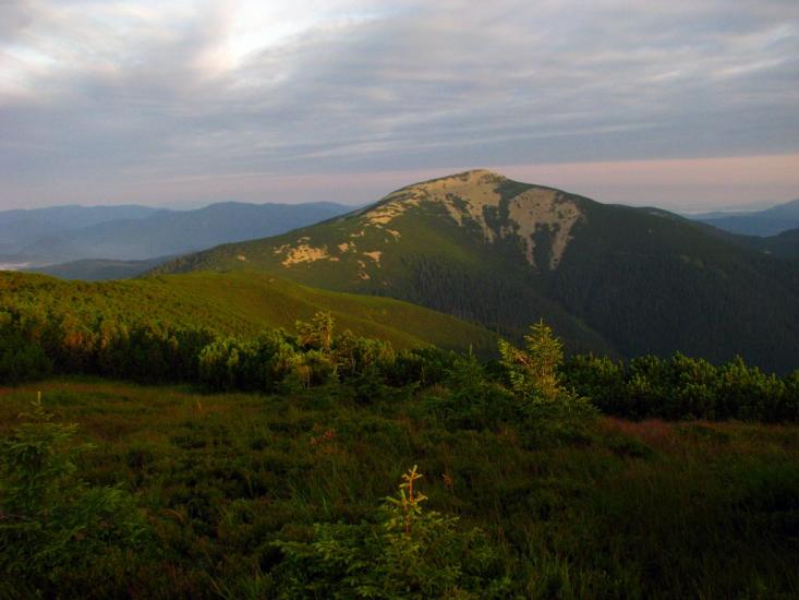 Осмолода з panoramio.com (ч.2) - Осмолода