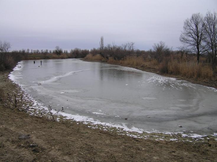 Кислиця з panoramio.com - Кислиця