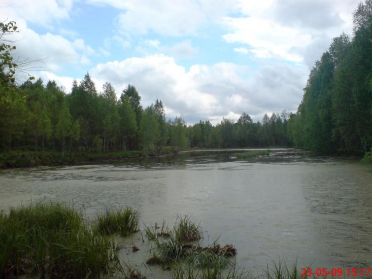 Кушкине з panoramio.com - Кушкино