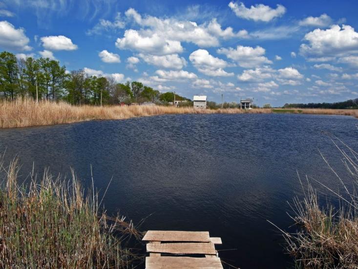 Вільний Посад з panoramio.com - Вільний Посад