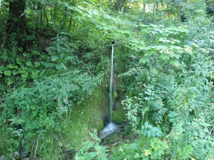 Гайове з panoramio.com - Гаевое