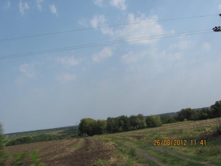 Вівсяники з panoramio.com - Вівсяники