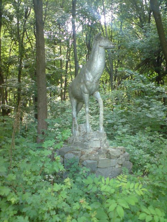 Великі Будища з panoramio.com - Velyki Budyscha