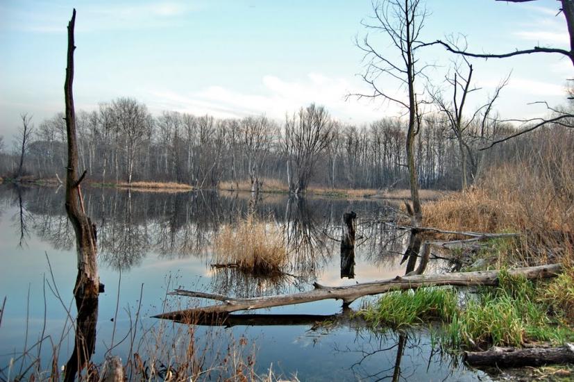 Білогорівка з panoramio.com - Белогоровка