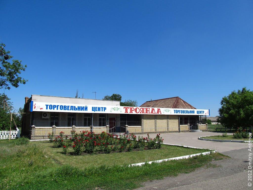 Рози Люксембург з panoramio.com - Гречани Поды