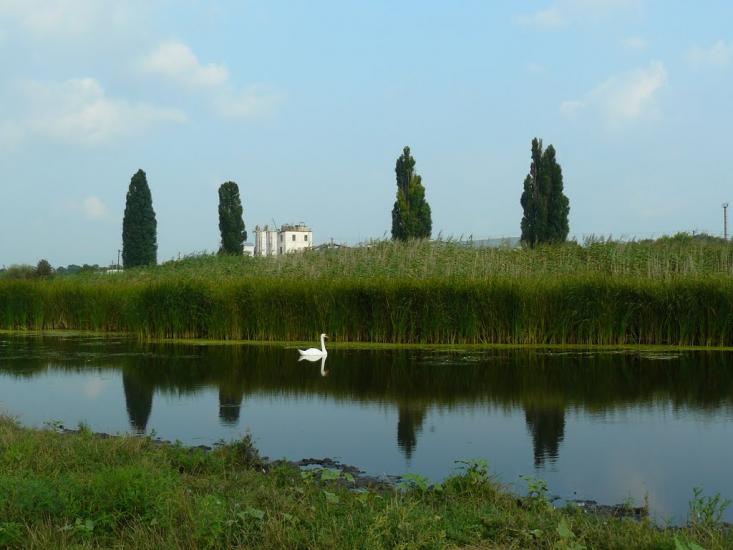 Протопопівка з panoramio.com - Protopopivka