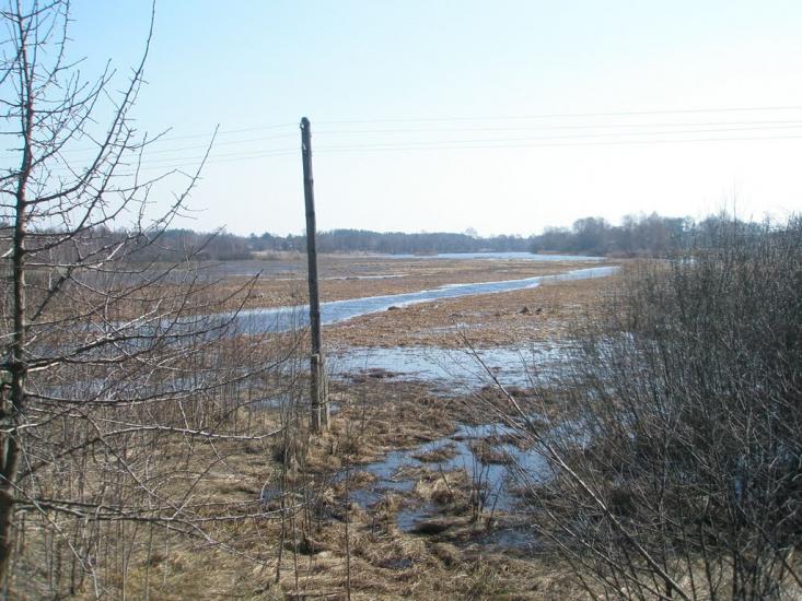 Бондарівка з panoramio.com - Бондарівка