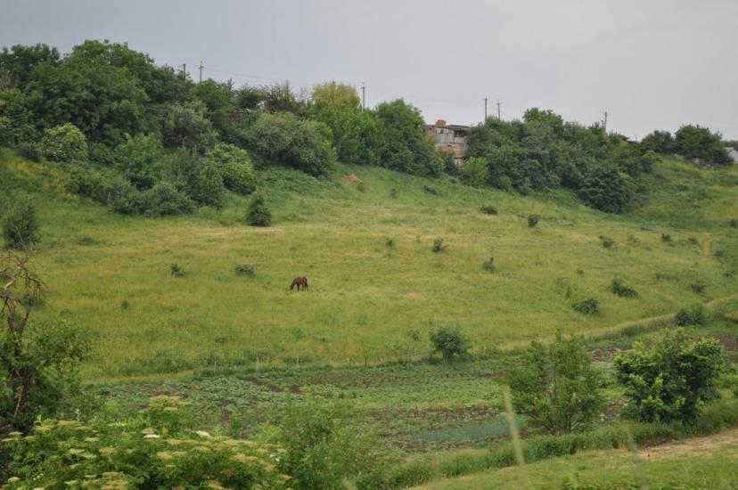 Стасі з panoramio.com - Стасі