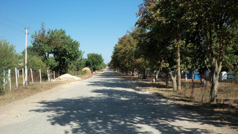 Березівка з panoramio.com - Березівка