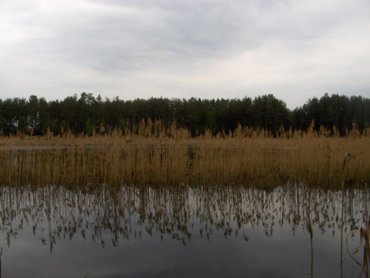 Левків з panoramio.com - Левков