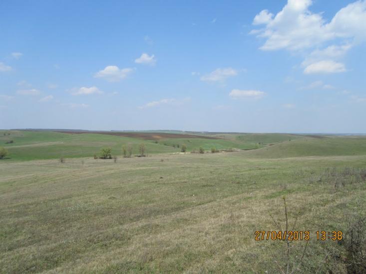 Cусіднє село Миронівка з panoramio.com - Маслии