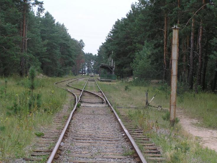 Лошакова Гута з panoramio.com - Лошакова Гута