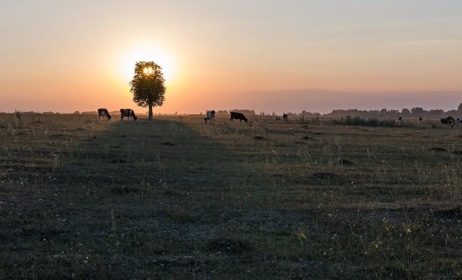 Великі Калетинці з panoramio.com - Великі Калетинці