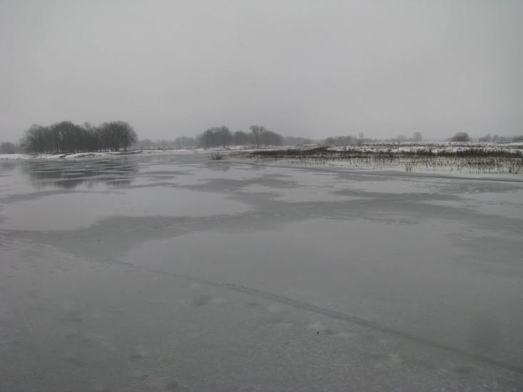 Миси з panoramio.com - Mysy