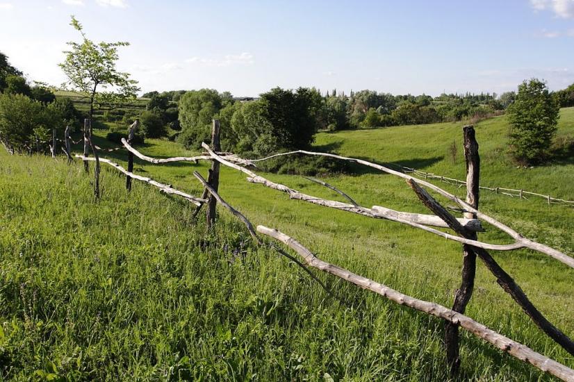 Гоптівка з panoramio.com - Гоптовка