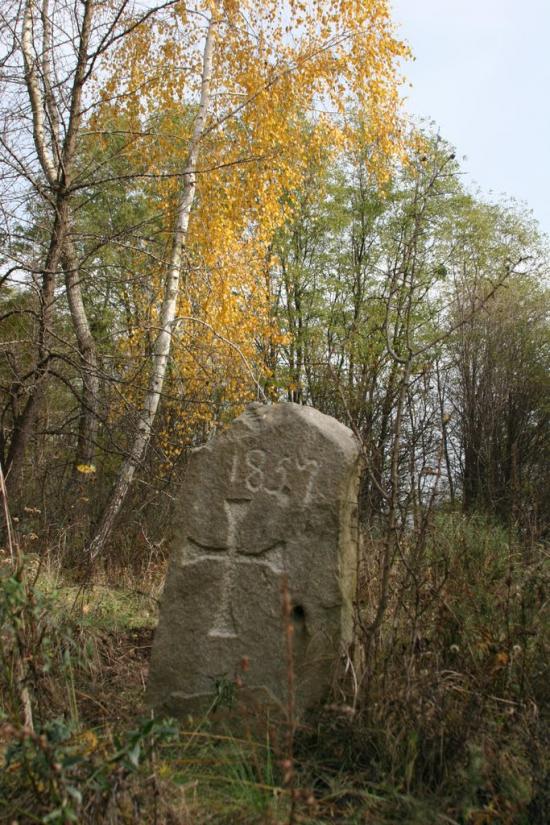 Луковиця з panoramio.com - Луковица