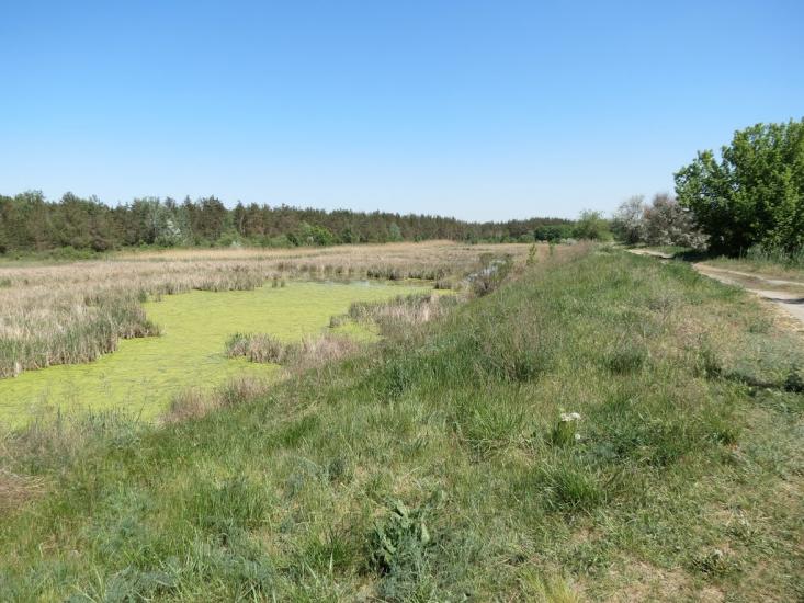 Богуслав з panoramio.com - Богуслав