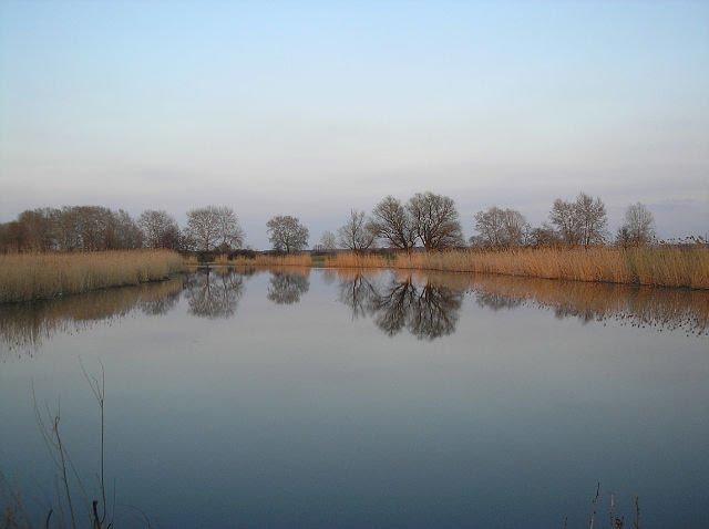 Ямпіль з panoramio.com - Yampil