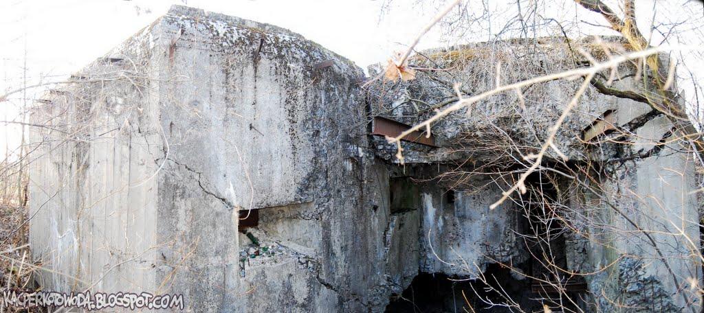 Зелена Гута з panoramio.com - Zelena Guta