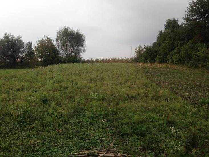 Тишевичі з panoramio.com - Тишевичі