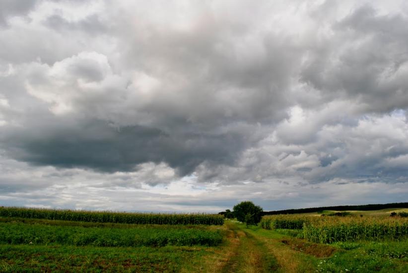 Закрівці з panoramio.com - Закрівці