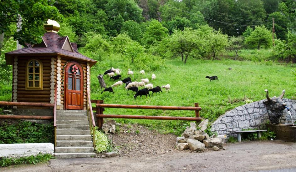 Кути з panoramio.com - Kuty