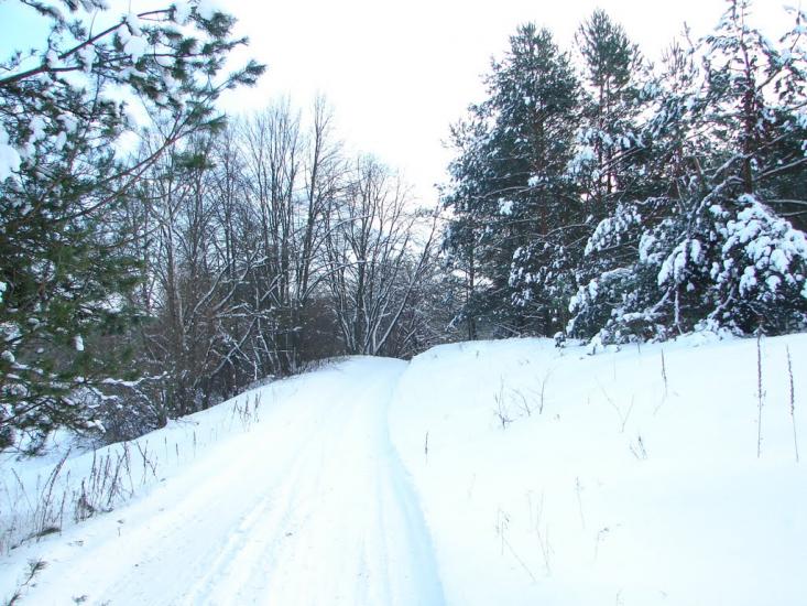 Мохначі з panoramio.com - Мохначі