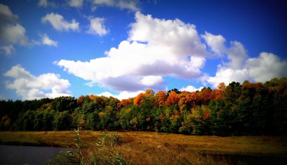 Гопчиця з panoramio.com - Гопчиця