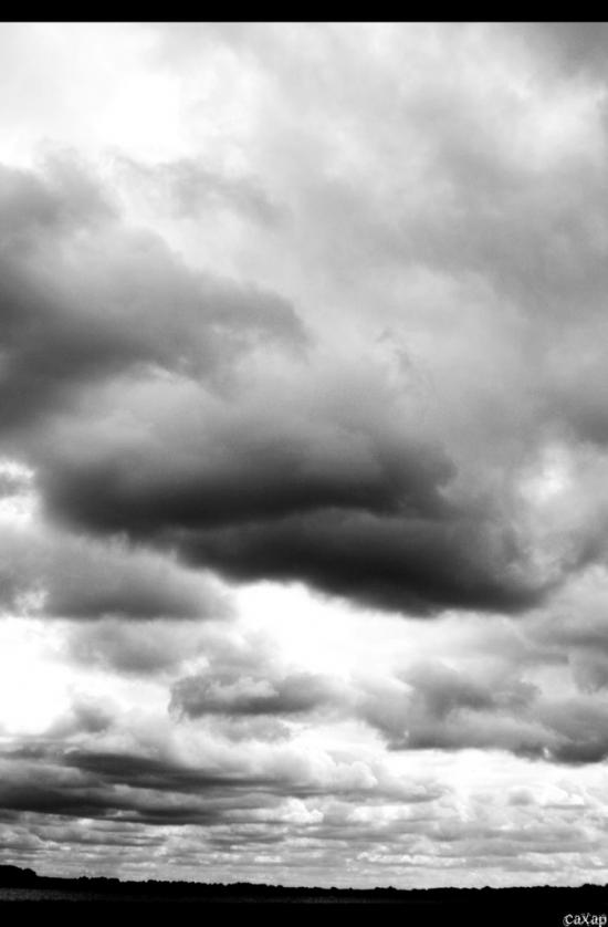 Пекарі з panoramio.com - Пекари