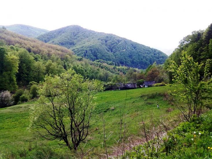 Кути з panoramio.com - Kuty