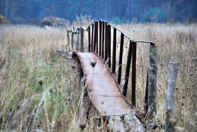 Писарівка з panoramio.com - Писарівка
