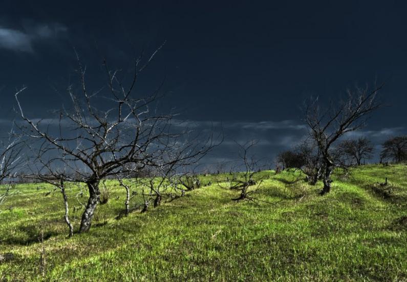 Кам'яні Потоки з panoramio.com - Kamyani Potoky