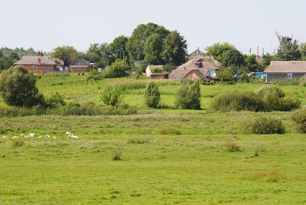 Малий Митник з panoramio.com - Малий Митник