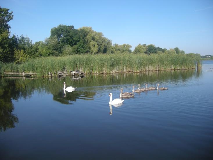 Самгородок з panoramio.com - Samgorodok