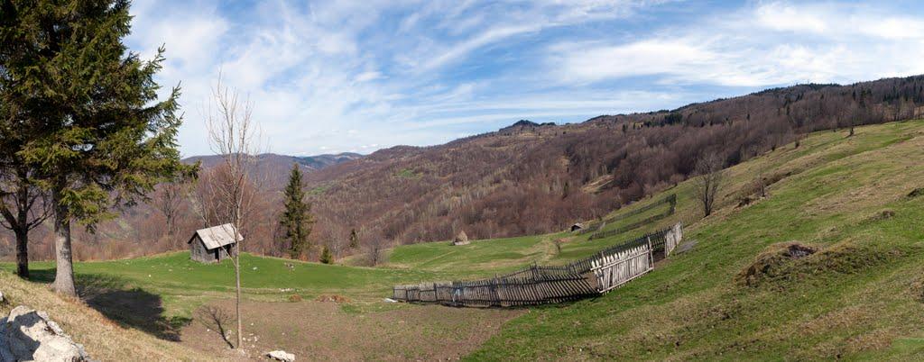 Косівська Поляна з panoramio.com - Косівська Поляна