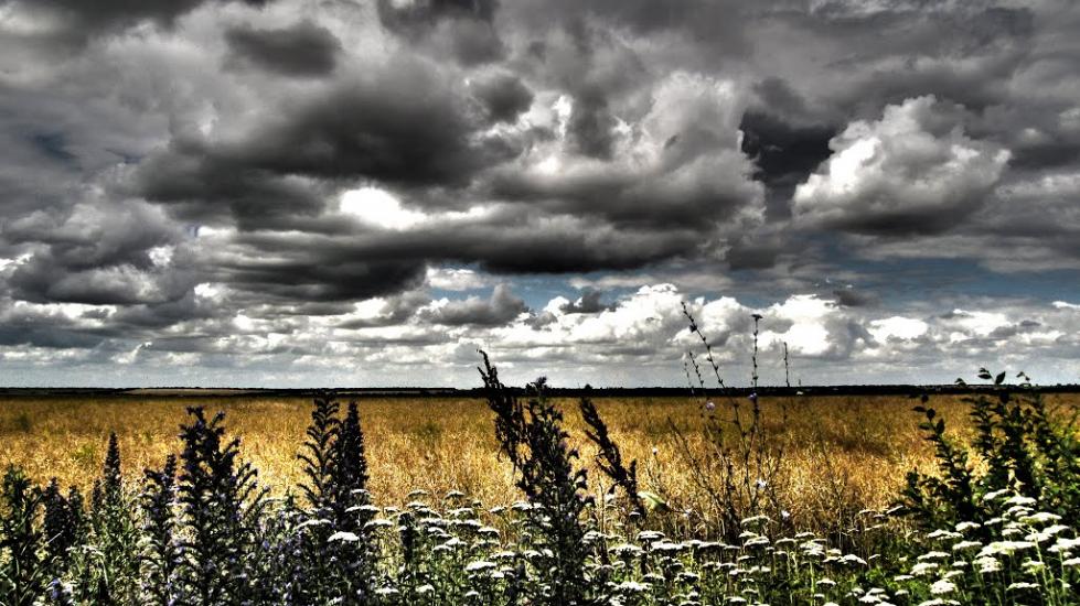 Інгулець з panoramio.com - Ингулец