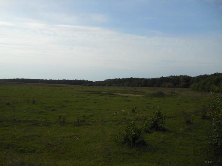 Забілівщина з panoramio.com - Забілівщина