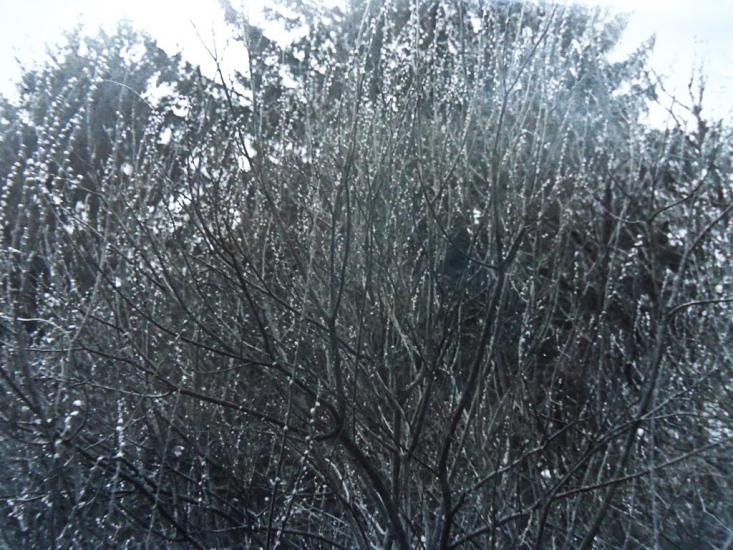 Вариводки з panoramio.com - Вариводки