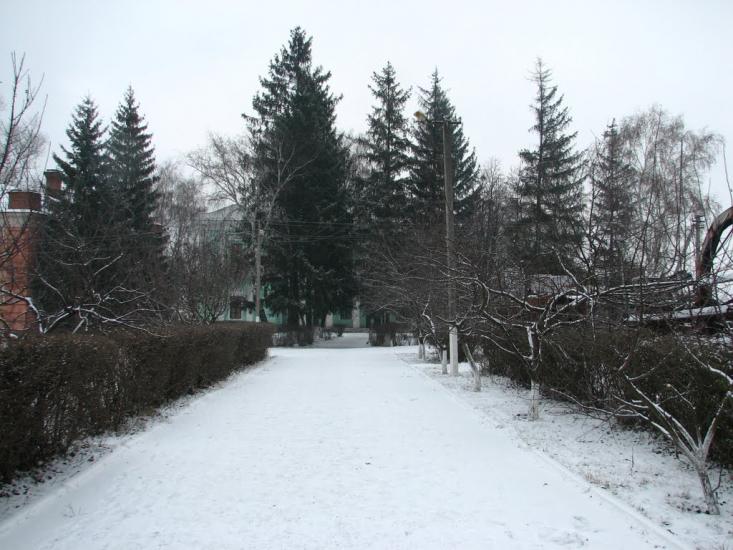 Рокитне з panoramio.com - Рокитне