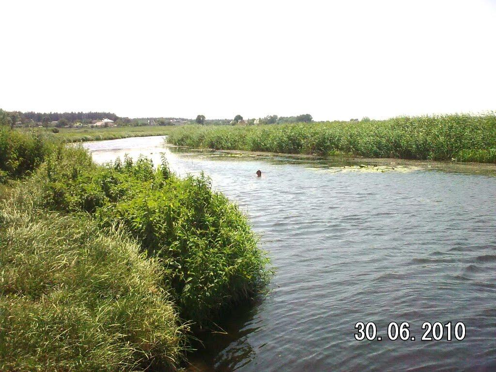 Білогородка з panoramio.com - Білогородка