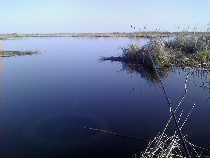 Кам'яні Потоки з panoramio.com - Kamyani Potoky