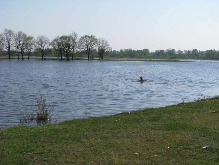 Миси з panoramio.com - Mysy