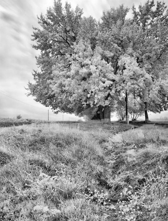 М'якохід з panoramio.com - Мягкоход