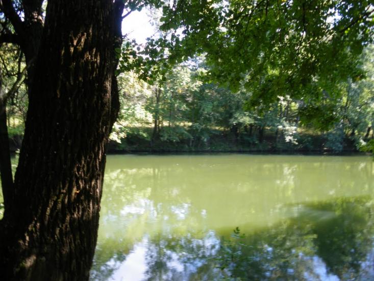 Букине з panoramio.com - Букине